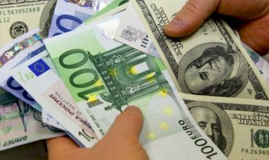 Kurlar nereye kadar?