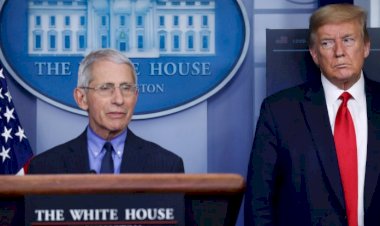 Trump, Fauci'nin popülaritesinden yakındı: Kimse beni sevmiyor