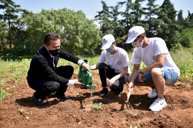 Tuzlalı gençler, her ihtiyaç sahibi için bir tohumu toprakla buluşturdu