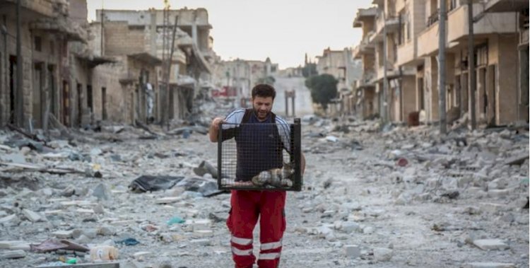 Welt: Suriye'ye yardım için Rusya'dan çekinilmemeli