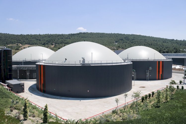 HAYVAN DIŞKILARI ELEKTRİK VE ORGANİK GÜBREYE DÖNÜŞÜYOR