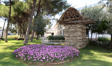 DokumaPark’a 5 bin yıllık arı sereni