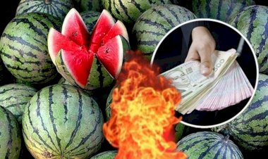 “Ukrayna’da karpuz fiyatı önceki seneye göre 3 katına çıktı