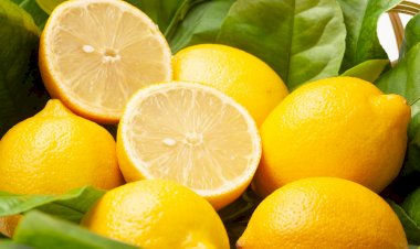 Limon ihracatında ön izin şartı kaldırıldı