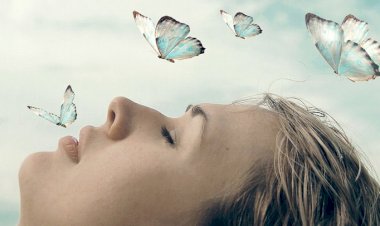 Dreams are informative as well as directive.