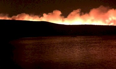 İzmir Çeşme’de korkutan yangın