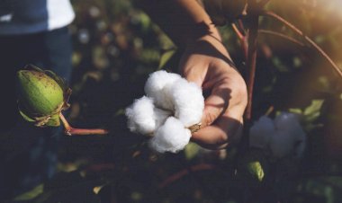 Egeli tekstil ihracatçıları yeşil dönüşüm ve dijitalleşmeye odaklandı
