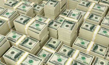 Ülkeden bir ayda 1.4 milyar çıktı