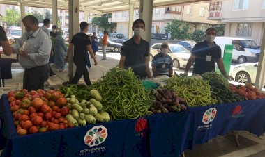 Organik ürün bereketi her geçen yıl artıyor