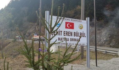 Şehit Eren Bülbül’ün anısına dikilen fidanlar büyüyor