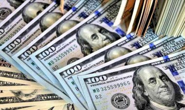 Uğur Gürses: Hazine bir nevi ‘yerli doları’ basıyor