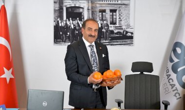Pandemi yaş meyve sebze ve mamulleri ihracatına fren yaptıramadı