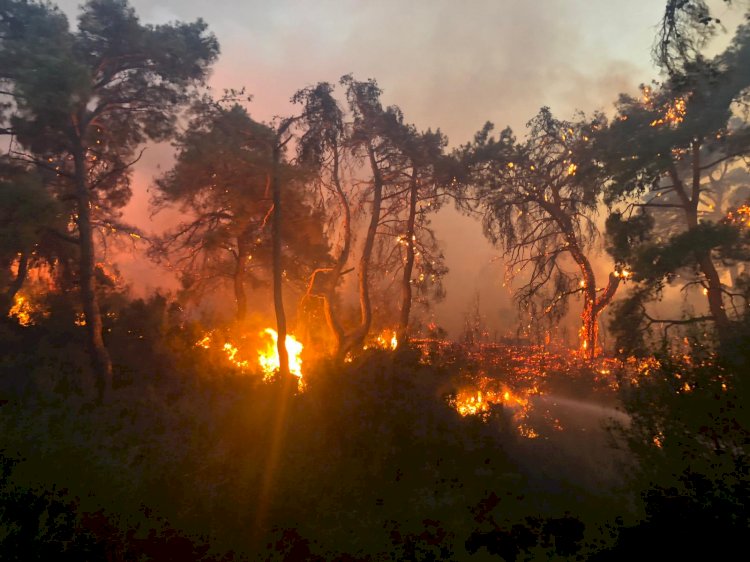 Manisa Büyükşehir Belediyesi Yangın Bölgesinde Seferber