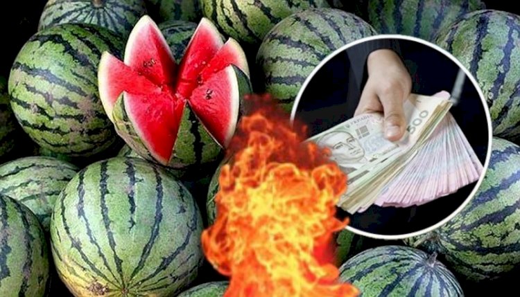 “Ukrayna’da karpuz fiyatı önceki seneye göre 3 katına çıktı