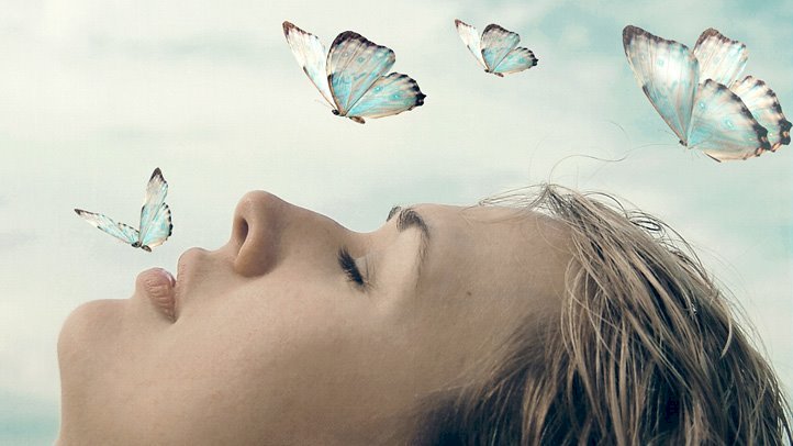Dreams are informative as well as directive.