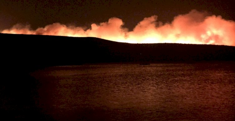 İzmir Çeşme’de korkutan yangın
