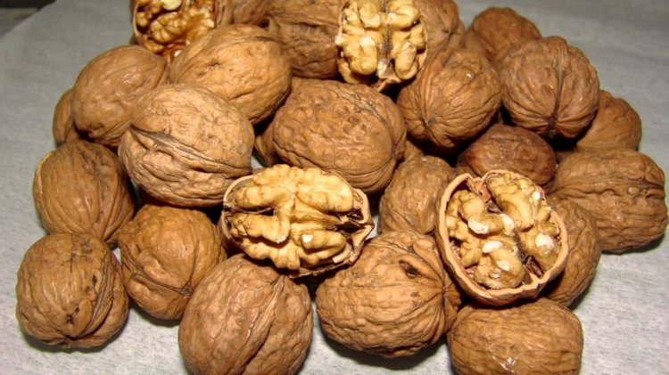 AY ÇEKİRDEĞİ ve CEVİZ’E YENİ GÜMRÜK VERGİSİ BELİRLENDİ
