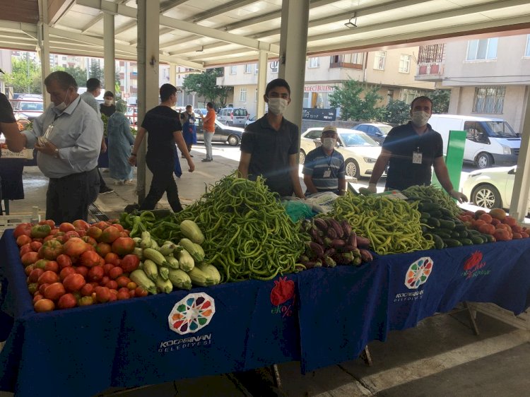 Organik ürün bereketi her geçen yıl artıyor