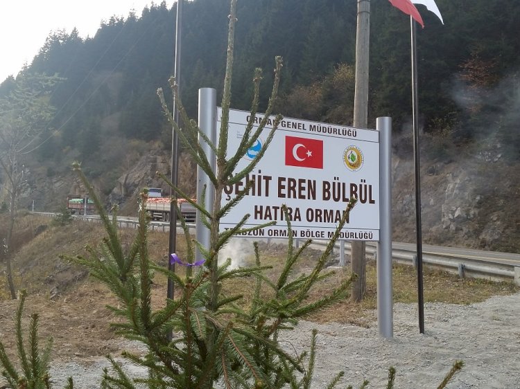 Şehit Eren Bülbül’ün anısına dikilen fidanlar büyüyor
