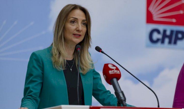 CHP Kadın Kolları Genel Başkanı Aylin Nazlıaka hakkında suç duyurusu