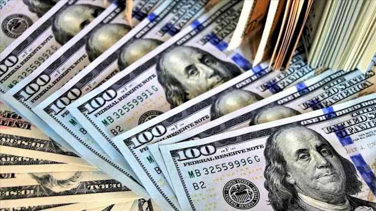 Uğur Gürses: Hazine bir nevi ‘yerli doları’ basıyor