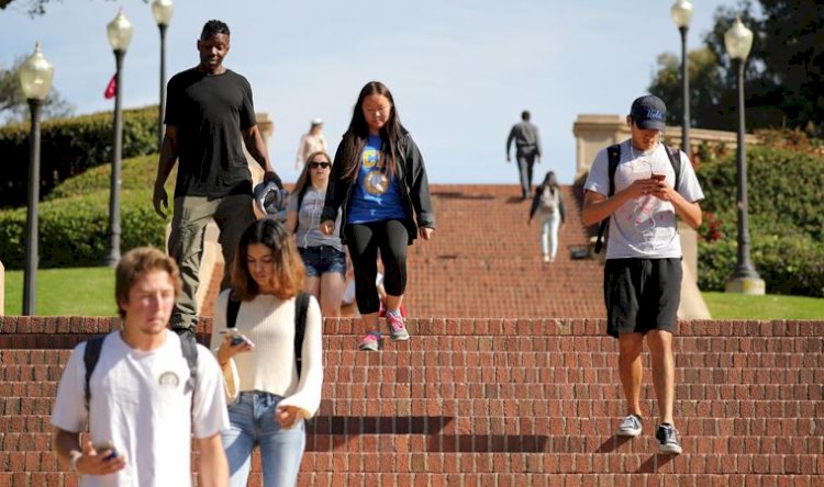 Almanya'da bir üniversite, öğrencilerine 'aylaklık bursu' veriyor