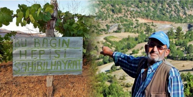 Üzüm bağını hayrata dönüştürdü, yoğun ilgi görüyor
