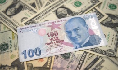 Enflasyon Yerinde Sayarken Dolar Tarihi Zirveye Çıktı
