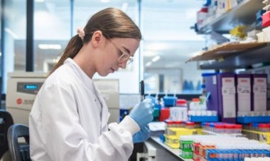 Koronavirüs aşısı: Oxford Üniversitesi ve AstraZeneca'nın testlerinin durdurulması ne anlama geliyor?