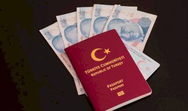 Almanya Türklerin hesaplarına erişebilecek: 1 Ocak’ta resmen başlıyor