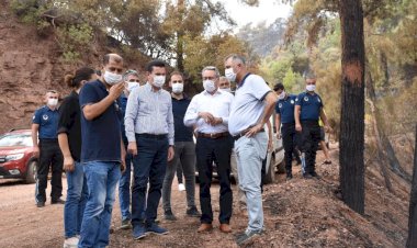 BAŞKAN BAYAR ORMAN YANGINI SONRASI ADRASAN'DA İNCELEMELERDE BULUNDU
