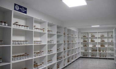 Bodrum Belediyesi tarımsal faaliyet alanında attığı adımlarla tarımı geleceğe taşıyor.