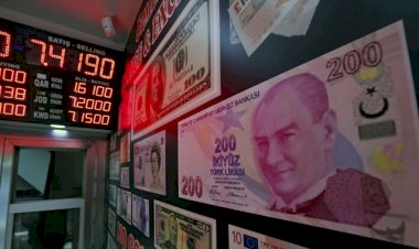 ABD'li Uzman: "Türk Lirasında Değer Kaybı Sürecek"