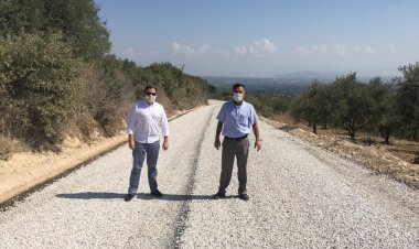 Yol Çalışması Zeytin Üreticisini Mutlu Etti