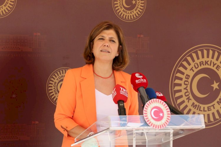 HDP'li Beştaş: En kötü barış savaştan daha iyidir