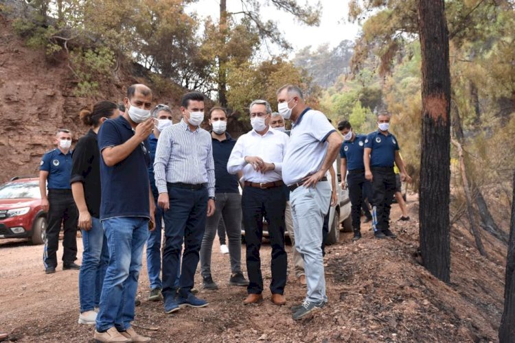BAŞKAN BAYAR ORMAN YANGINI SONRASI ADRASAN'DA İNCELEMELERDE BULUNDU