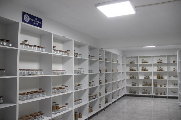 Bodrum Belediyesi tarımsal faaliyet alanında attığı adımlarla tarımı geleceğe taşıyor.