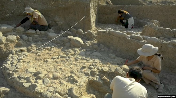 İzmirliler 8.500 Yıl Önce de Midye Yiyordu