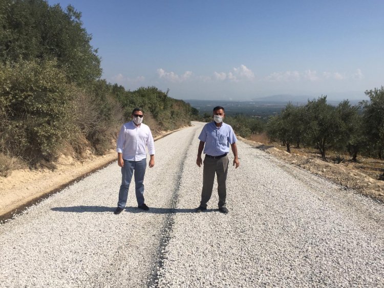 Yol Çalışması Zeytin Üreticisini Mutlu Etti