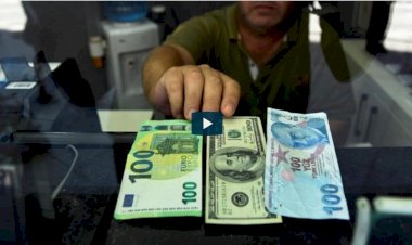 Türk Lirası'nda rekor kayıp