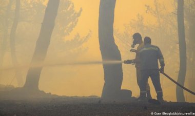 Hatay'daki yangınla ilgili gözaltılar