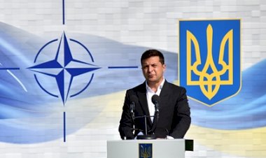 Зеленский захотел оснастить турецкие беспилотники украинскими двигателями