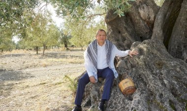AYVALIK’TA 400 YAŞ VE ÜZERİNDEKİ ANIT