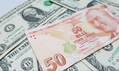 Dolarda yeni zirve: 8,32