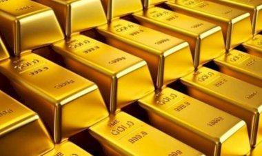Dolar ihtiyacı olan Merkez Bankası’nın Eylül’de 45,5 tonluk altın satışı yaptığı ortaya çıktı.