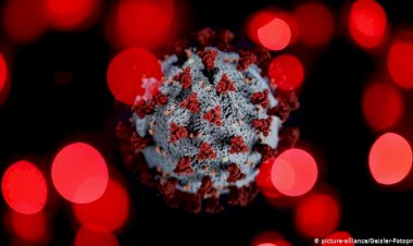 Koronavirus: Yedi farklı semptom grubu
