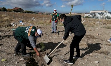 Gölbaşı Belediyesi’nden Daha Yeşil Bir Dünya İçin Adım