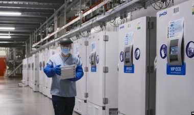 Pfizer Pilot Uygulama İçin ABD'de 4 Eyalete Aşı Teslimine Hazırlanıyor