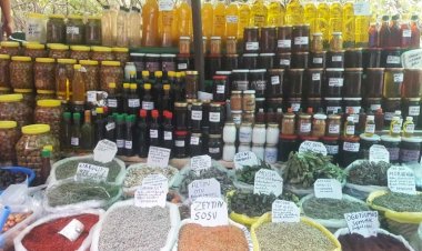 Kaz Dağlarından toplanan  şifalı bitkilerden oluşan Korona Paketi