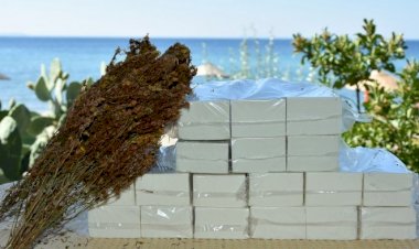 Doğal Zeytinyağlı, Kantaronlu, Kekikli, Bıttım ve Defne Sabunu